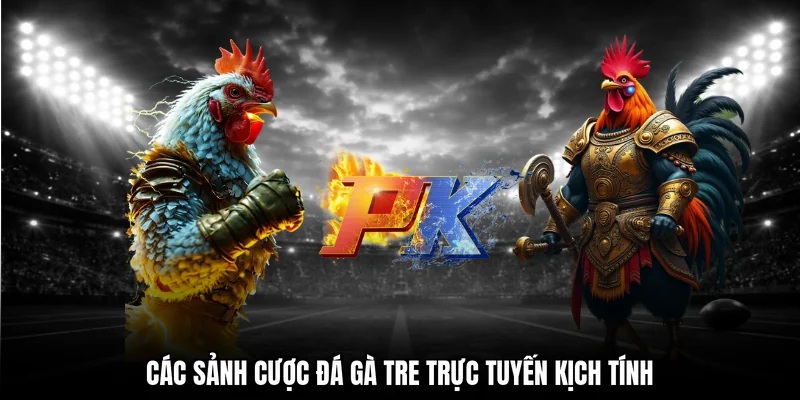 Các sảnh cược đá gà tre trực tuyến kịch tính
