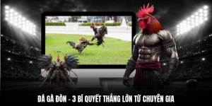 đá gà đòn