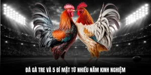 đá gà tre