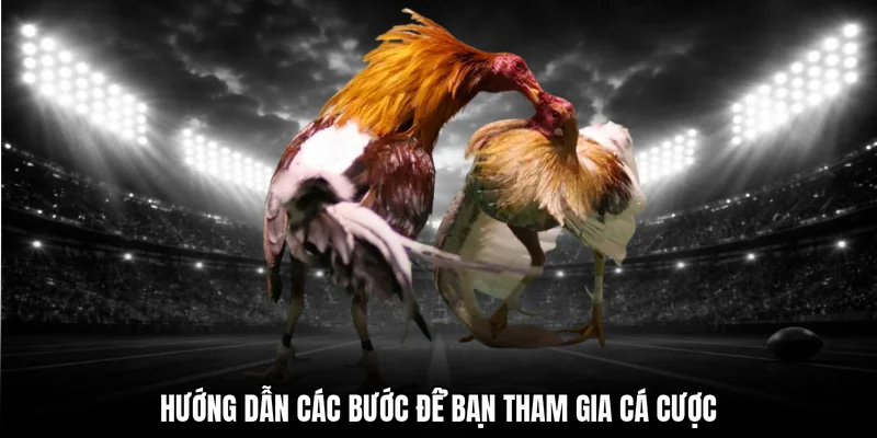 Hướng dẫn các bước để bạn tham gia cá cược 