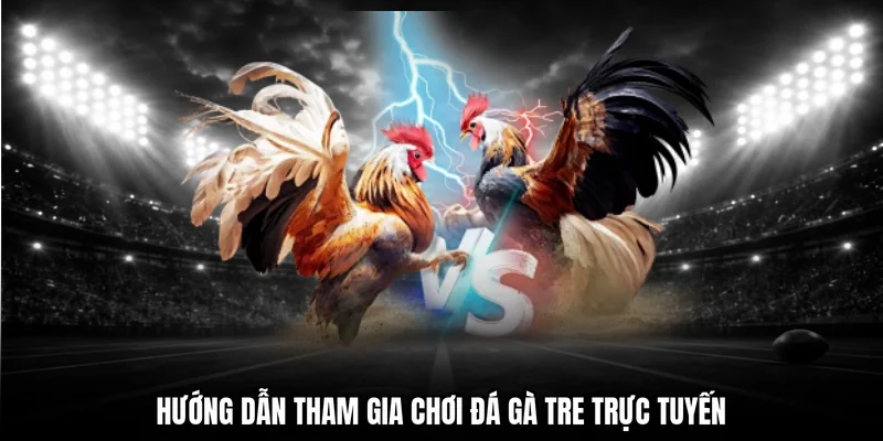 Hướng dẫn tham gia chơi đá gà tre trực tuyến