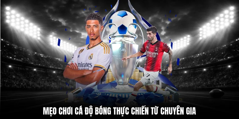 Mẹo chơi cá độ bóng thực chiến từ chuyên gia