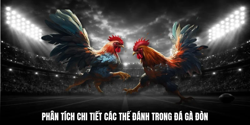 Phân tích chi tiết các thế đánh trong đá gà đòn